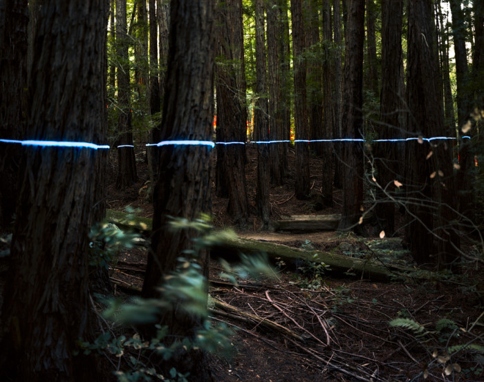 Underwood_BlueLine